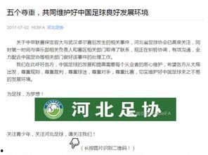 河北吃瓜协会官网首页下载,官方首页背后的故事与特色