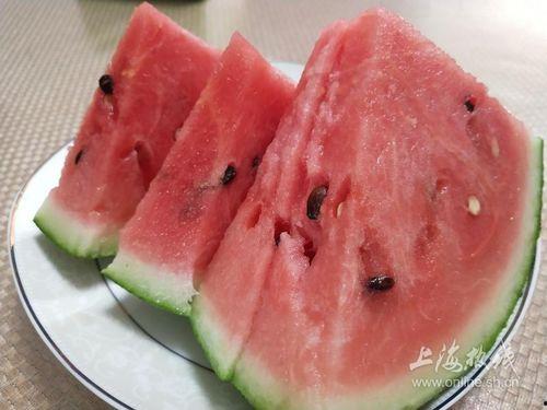 全国网红吃瓜网站有哪些