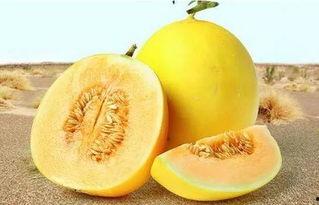 吃瓜网166. su,带你走进神秘的网络世界