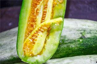 吃网红瓜公众号,吃瓜群众必看，网红瓜背后的真相大揭秘！