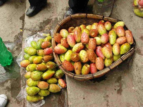 仙桃网红吃瓜,揭秘网络红人的幕后故事