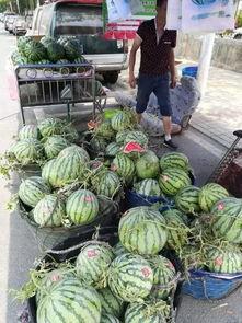 湘潭网红最新吃瓜新闻事件,揭秘幕后真相与网络舆论风暴