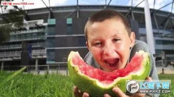 男网红吃瓜视频大全集下载,一网打尽！