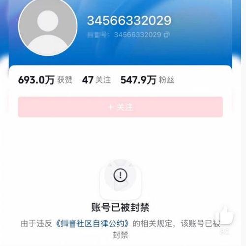 网红吃瓜蒙主,揭秘娱乐圈幕后真相
